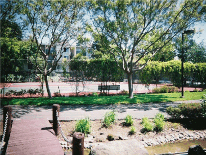 (PHOTOGRAPH OF TENNIS COURT-LANDSCAPING)